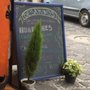 Photo of El Estragon
