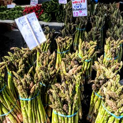 Port Orchard Farmers Market - Taken Saturday May 18 2019
