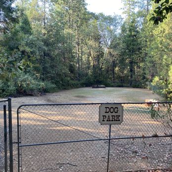 Gold Country Campground Resort - Overgrown blackberry bush Dog park - Campgrounds Near Me - Pine Grove, California Gold Country Campground Resort - Overgrown blackberry bush Dog park - Campgrounds Near Me - Pine Grove, California