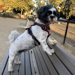 Rocking her summer cut! Rocking her summer cut!