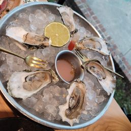 Oysters