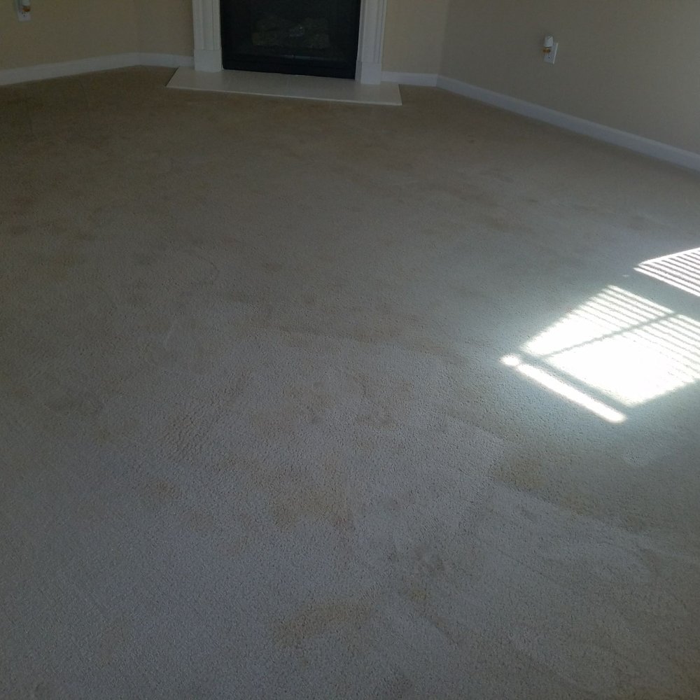 CarpetMed - Living Room After - Carpet Cleaning Near Me CarpetMed - Living Room After - Carpet Cleaning Near Me