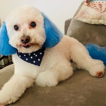 Mutt Cutts Dog Spa - Pet Groomers Near Me - Chino, California