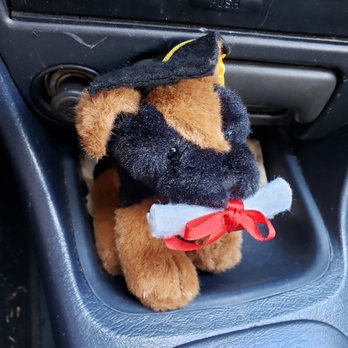 Watanabe Floral - Cute tiny plushie dog with cap and diploma, and it plays music too! - Florists Near Me - Honolulu, Hawaii Watanabe Floral - Cute tiny plushie dog with cap and diploma, and it plays music too! - Florists Near Me - Honolulu, Hawaii