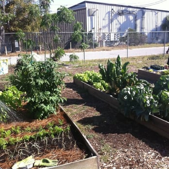 Billie Dean Community Garden - Community Gardens Near Me - Apopka, Florida Billie Dean Community Garden - Community Gardens Near Me - Apopka, Florida