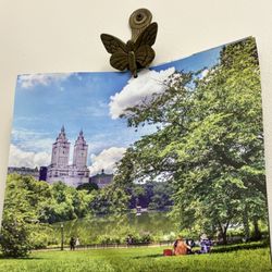 Central Park Conservancy - Today is Happy Birthday to Central Park. My Conservancy Calendar told me ! 07/21/25