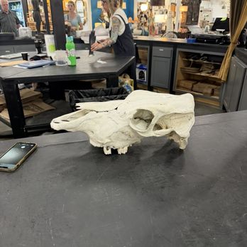 Marquee - Cow skull I planned to purchase - Art Galleries Near Me - Asheville, North Carolina Marquee - Cow skull I planned to purchase - Art Galleries Near Me - Asheville, North Carolina