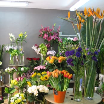 Aromatique - Florists Near Me - St Maur des Fossés, 94 Aromatique - Florists Near Me - St Maur des Fossés, 94