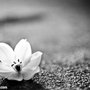 Photo of Nicholas Wray Photography