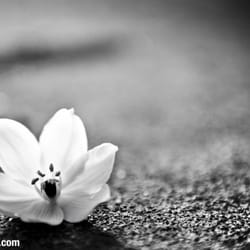 Nicholas Wray Photography - street photography