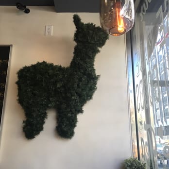 Bibble & Sip - Alpaca Decór. - Coffee & Tea Near Me - New York, New York Bibble & Sip - Alpaca Decór. - Coffee & Tea Near Me - New York, New York