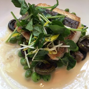 Blue Duck Tavern - Rockfish over fiddle head ferns, lemon butter sauce, morels, peas and pea shoots. - New American Near Me - Washington, DC, District of Columbia Blue Duck Tavern - Rockfish over fiddle head ferns, lemon butter sauce, morels, peas and pea shoots. - New American Near Me - Washington, DC, District of Columbia