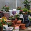 Secret Gardens Northwest gift card