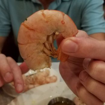 Half Shell Oyster House - This is the actual size. Meaty and tender - Seafood Near Me - Biloxi, Mississippi Half Shell Oyster House - This is the actual size. Meaty and tender - Seafood Near Me - Biloxi, Mississippi