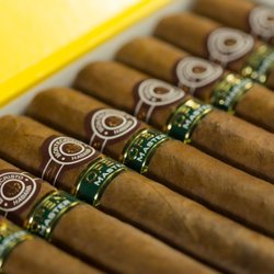 Spigot Liquor - Variety of great cigars