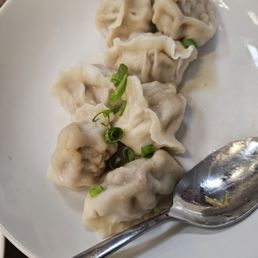Pork and Cabbage Dumplings Pork and Cabbage Dumplings