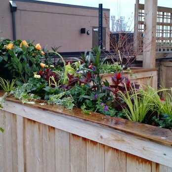 Generative Land - Some of the first plants installed in an L-shaped flower box. - Gardeners Near Me