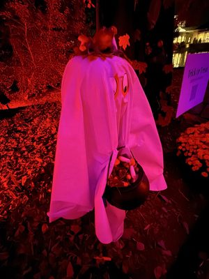 Huntsville Botanical Garden by null