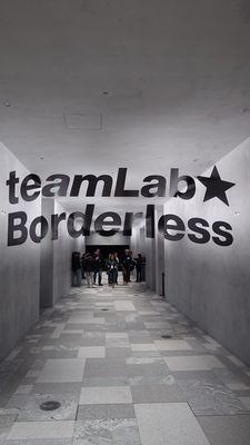 teamLab Borderless: MORI Building DIGITAL ART MUSEUM by null