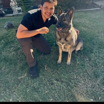Smart Dog Training School - This is the abuser in the photo. - Pet Training Near Me - Palmdale, California Smart Dog Training School - This is the abuser in the photo. - Pet Training Near Me - Palmdale, California