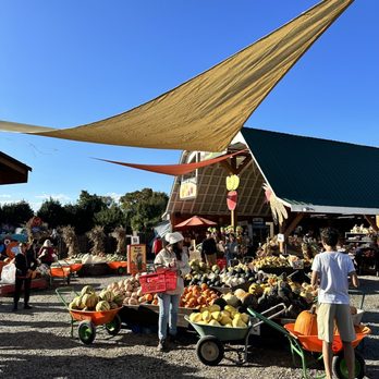Cox Farms - Attraction Farms Near Me - Centreville, Virginia