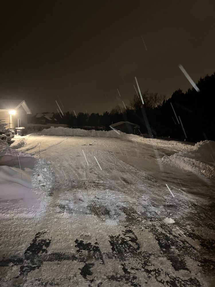 The Yard Barbers - tree service in Williston, VT