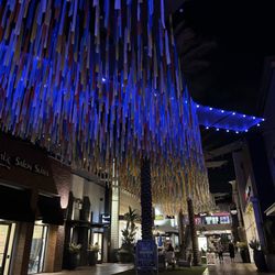 The District