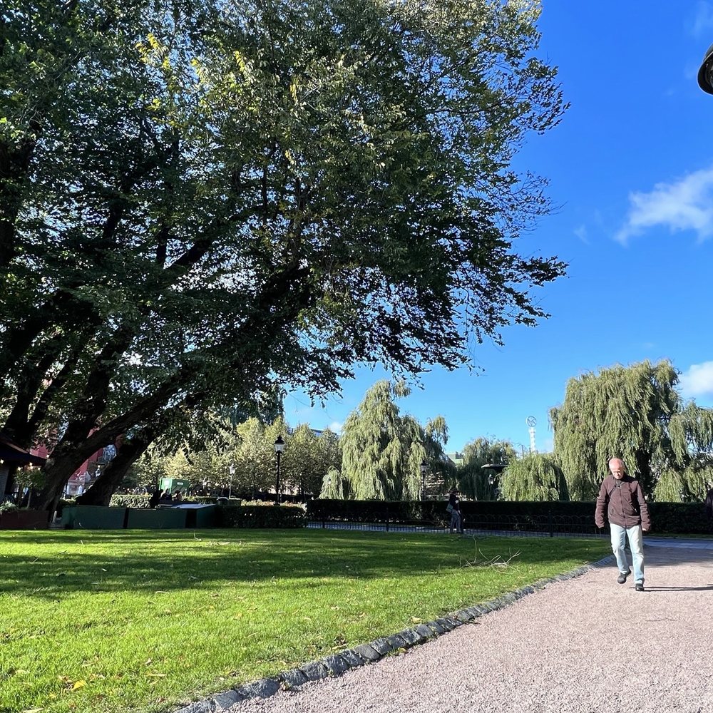 Kungsträdgården - Parks Near Me - Stockholm, Alberta