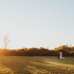 Ethereal Gardens