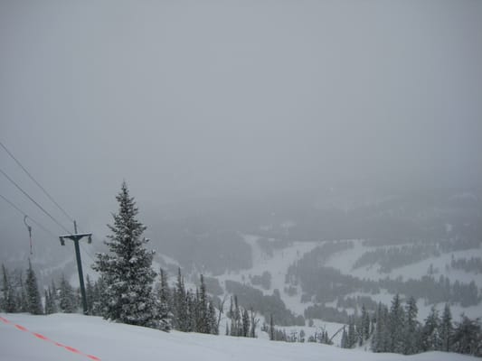 Bridger Bowl Ski Area by null
