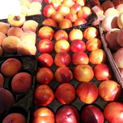 Rancho Cordova Certified Farmers' Market - Nectarines and peaches