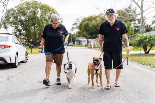 Daytona Canines Pet Sitting