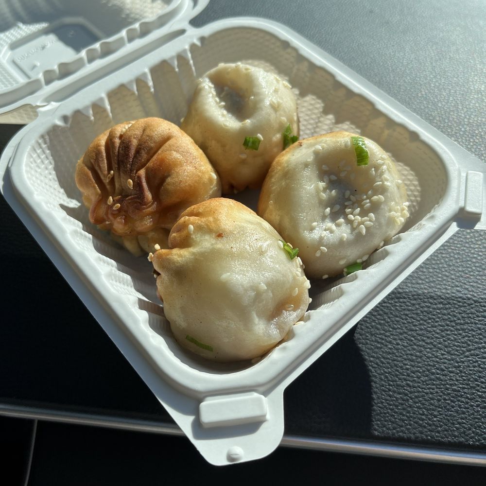 Spring Shanghai Pan-Fried Buns - Shanghainese Near Me - Boston, Massachusetts Spring Shanghai Pan-Fried Buns - Shanghainese Near Me - Boston, Massachusetts