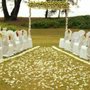 Photo of Infinity Catering & Event Services