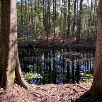 Rosebrock Park - Parks Near Me - Summerville, South Carolina Rosebrock Park - Parks Near Me - Summerville, South Carolina