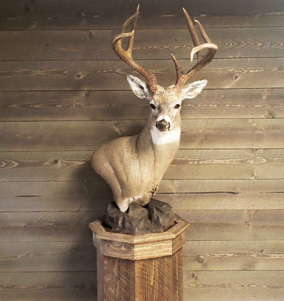 BONE TRAIL TAXIDERMY Updated May 2024 Request Information 202 5th