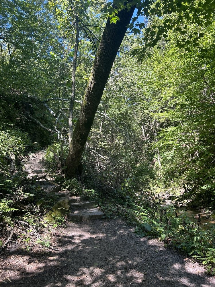 Parfrey's Glen Logo