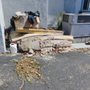 Bobby's Junk Removal And More