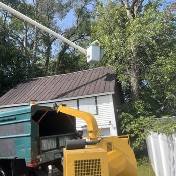 Off The Top Tree Service - Tree Services Near Me - Fairfax, Vermont Off The Top Tree Service - Tree Services Near Me - Fairfax, Vermont