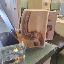 Hearing Doctors of Hawaii - Dr. Narimasu-Phomenone's hearing test room. She carfully assisted my elderly aunty in and out of the room.
