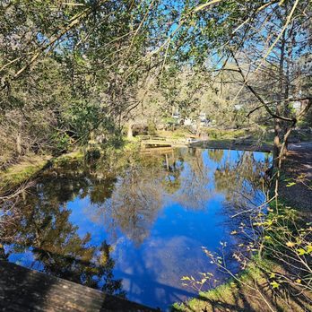 Ravine Gardens State Park - Parks Near Me - Palatka, Florida