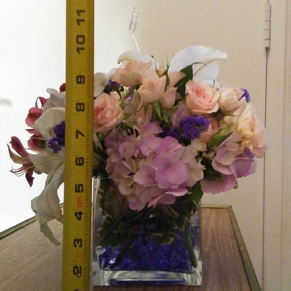 Flowers In Easton Pa Best Flower Site