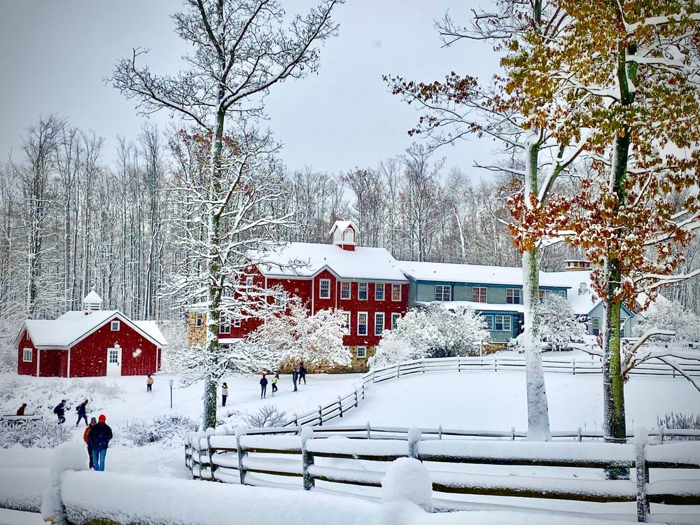 HERSHEY MONTESSORI SCHOOL Updated June 2024 23 Photos 11530