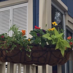Pots & Petals Designs