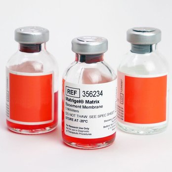 Etiquettesystems - Medical Labels - Printing Services Near Me - Henderson, Nevada Etiquettesystems - Medical Labels - Printing Services Near Me - Henderson, Nevada