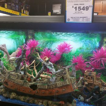 Big Al's - Cool tank decor. - Pet Stores Near Me - Ottawa, Ontario Big Al's - Cool tank decor. - Pet Stores Near Me - Ottawa, Ontario