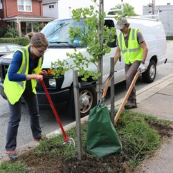 Nine Mile Run Watershed Association - NMRWA staff removing grass to lay down mulch for a NMRWA tree planted in 2016.