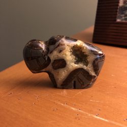 Columbine Mineral Shop - Septarian Buffalo - "We are Marshall!!!"