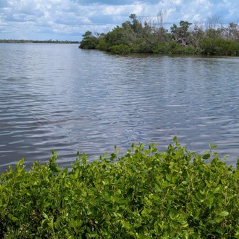 Tarpon Bay Explorers - I was trying to take a picture of the manatees, but they were in the water before I could take it. - Rafting/Kayaking Near Me - Sanibel, Florida Tarpon Bay Explorers - I was trying to take a picture of the manatees, but they were in the water before I could take it. - Rafting/Kayaking Near Me - Sanibel, Florida