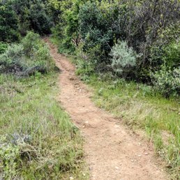 More of the same trail, they cut away a lot of thistles and poison oak and cleaned up what was cut.